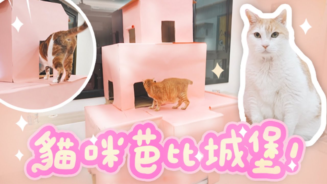 【黃阿瑪的後宮生活】貓咪芭比城堡！紙箱DIY！