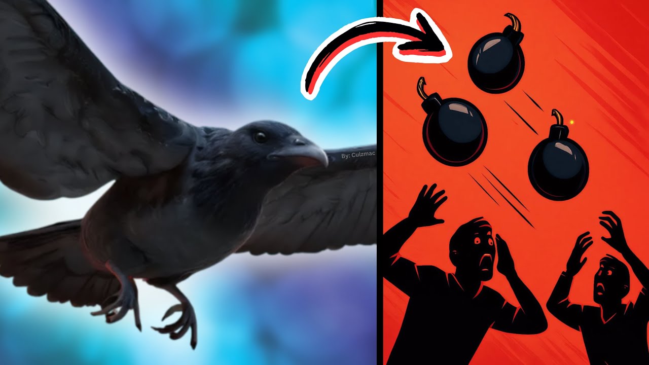 В этой игре Bird Simulator вы можете какать БОМБЫ!!!!