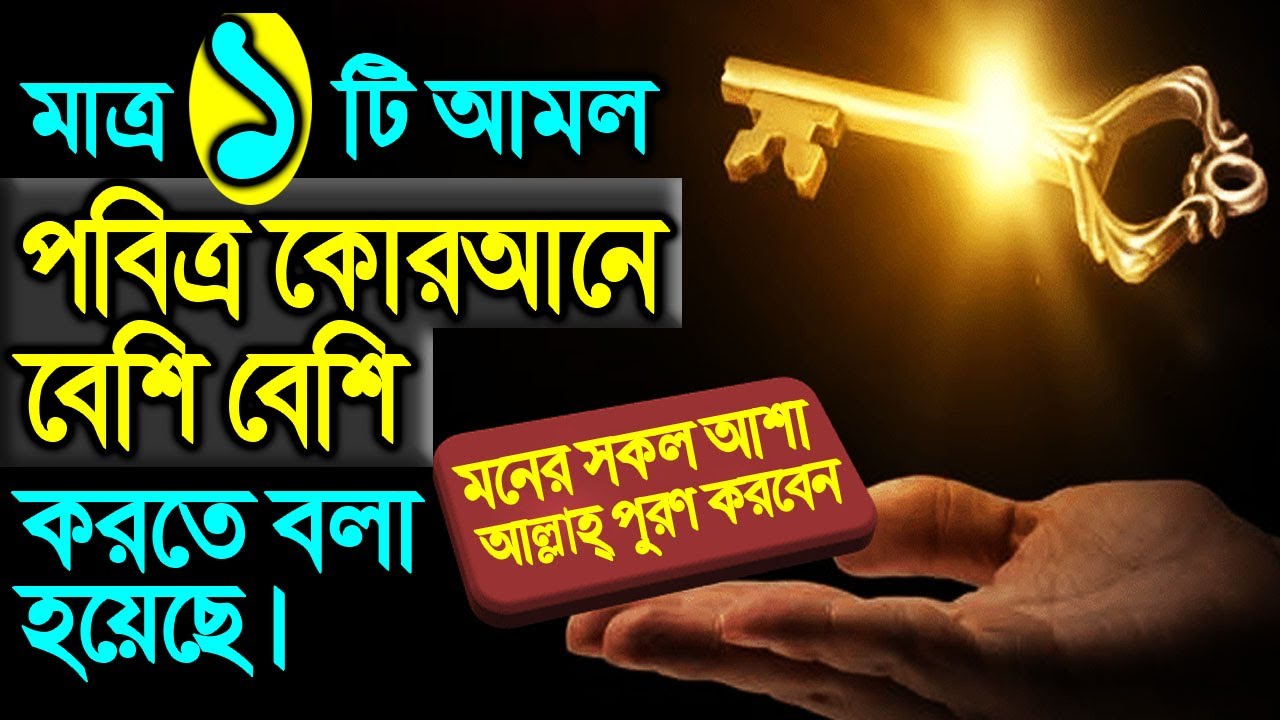 ১টি আমলই পবিত্র কুরআনে বেশি বেশি করতে বলা হয়েছে। বিনিময়ে মনের সকল আশা আল্লাহ্ পুরণকরবেন ইনশাআল্লাহ্
