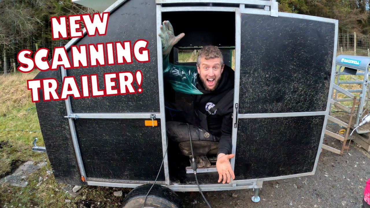 НОВЫЙ трейлер сканирования и первый день со Spot