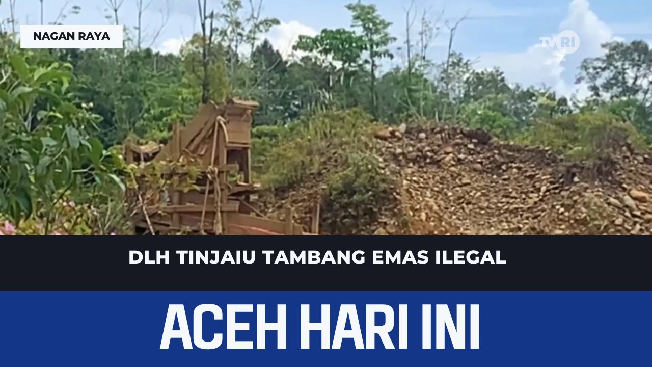 DLH Tinjaiu Tambang Emas Ilegal | Berita Aceh Hari Ini
