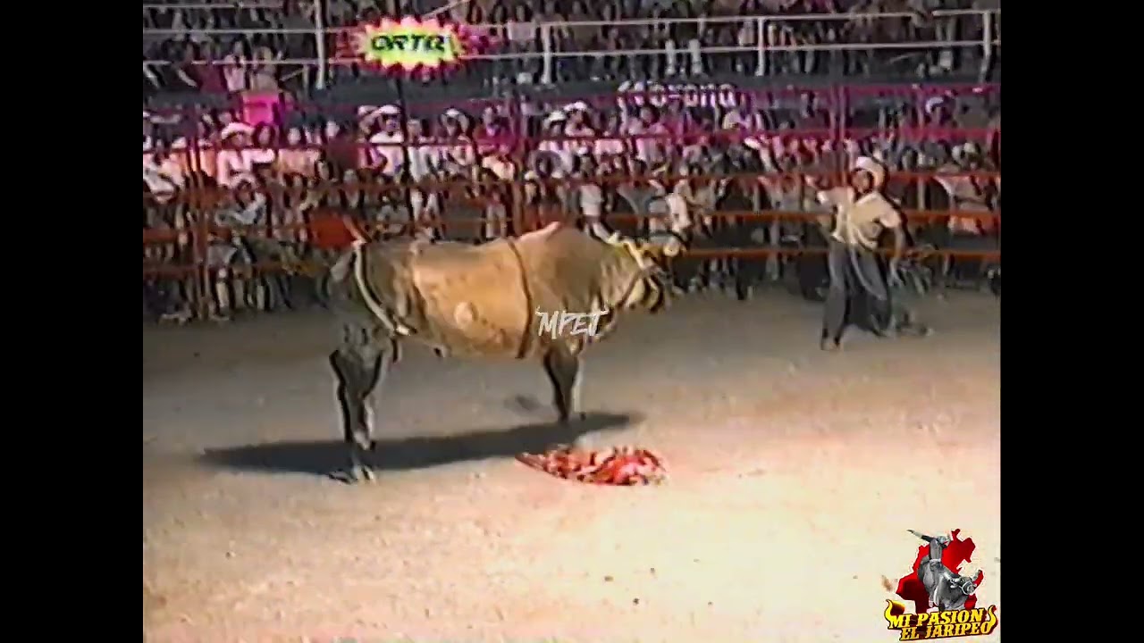 Rancho La Candelaria En Panchimalco, Mor 2005