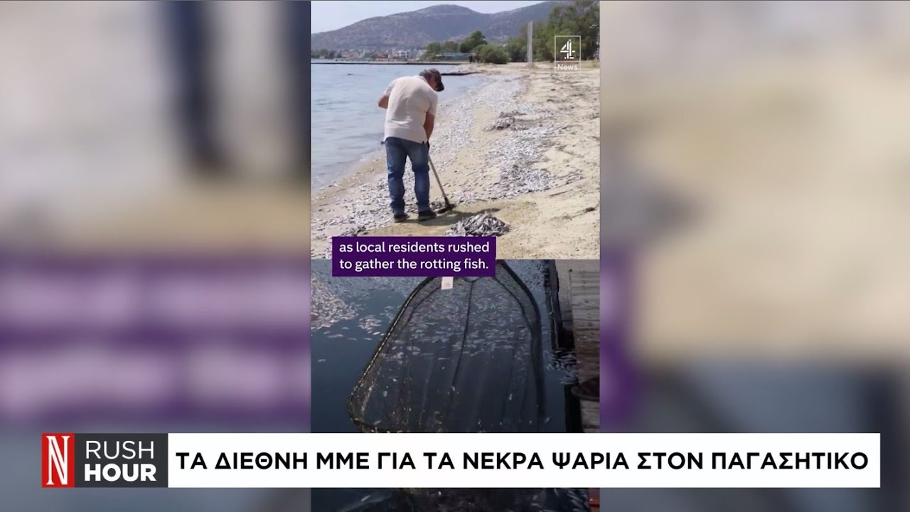 Τα διεθνή ΜΜΕ για τα νεκρά ψάρια στον Παγασητικό