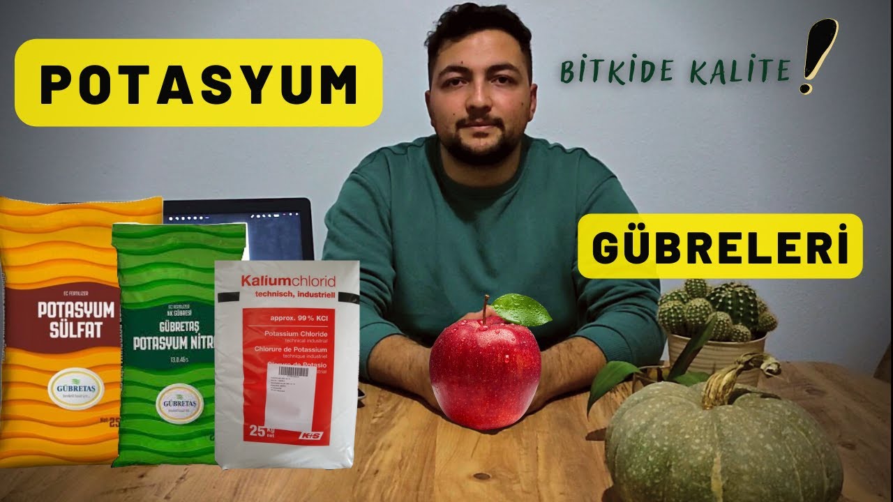 POTASYUM GÜBRELERİ- Potasyum Eksikliğinin Bitkide Etkisi!! Bitkide Faydası!!