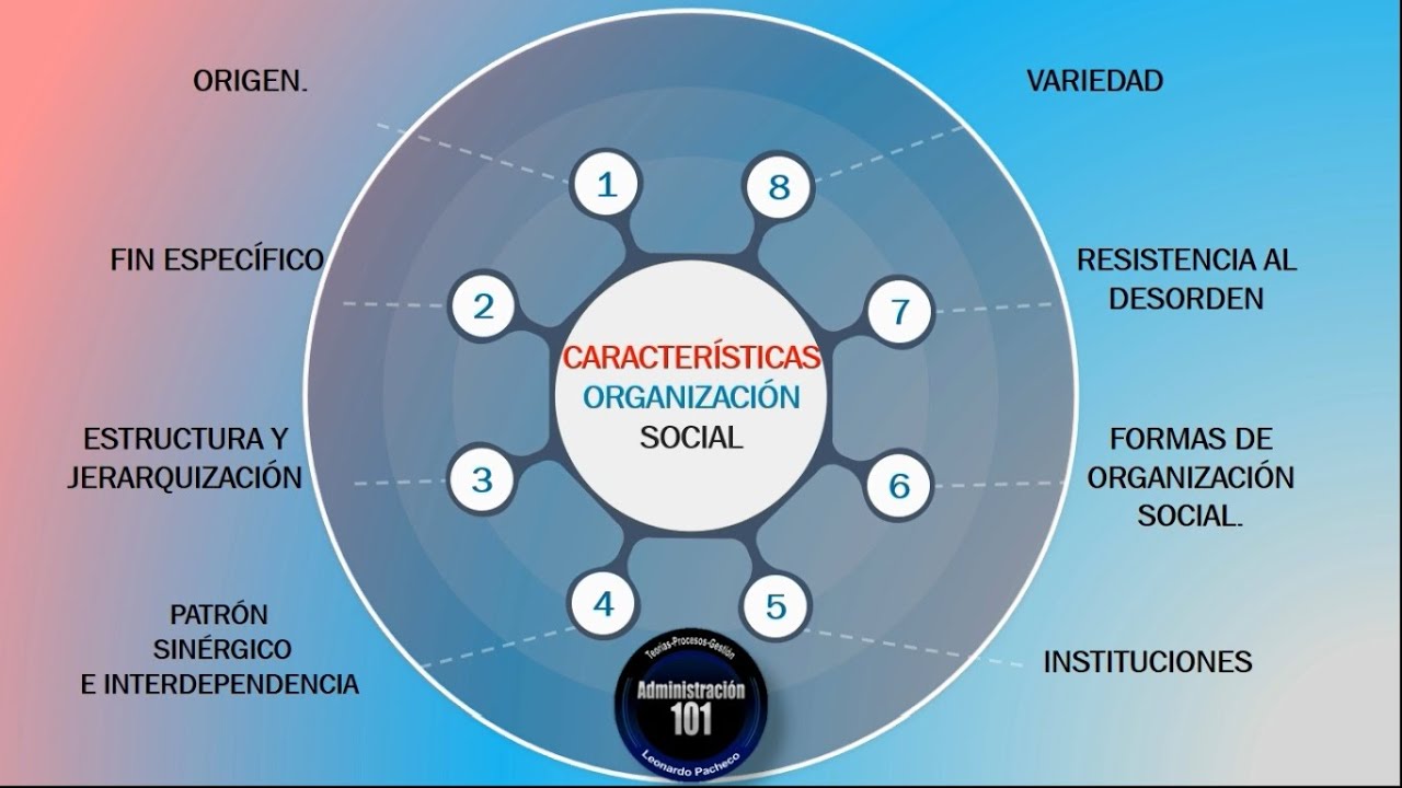 Organizacion Social:  Concepto, Características y Tipos
