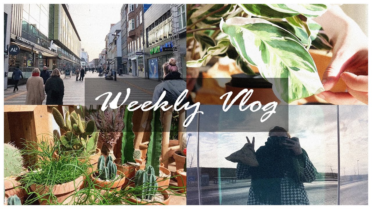 Weekly Vlog | First vlog, Colourpop, new plants, roadtrip