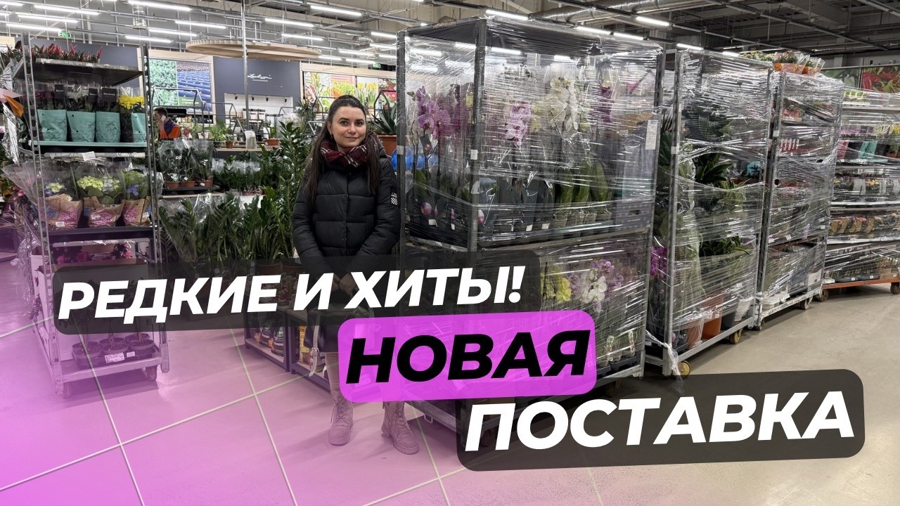 РЕДКИЕ И ХИТЫ! НОВАЯ ПОСТАВКА РАСТЕНИЙ!