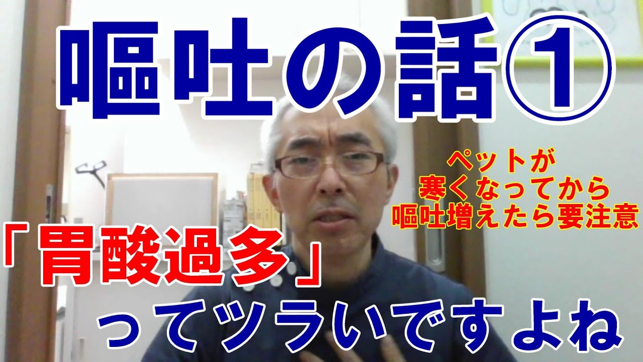嘔吐の話①　寒くなって嘔吐が増えました・・・胃酸過多はツラい