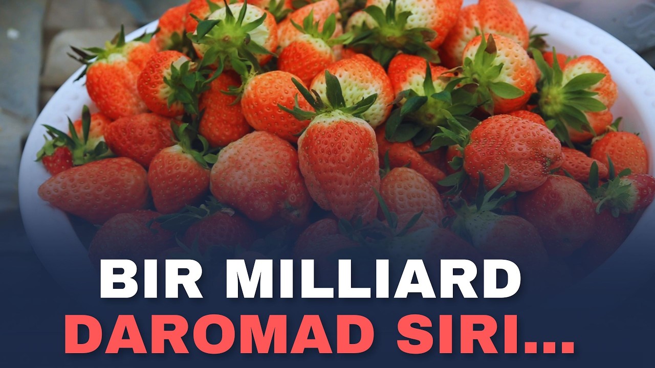 QISH KUNIDA BIR MILLIARD DAROMAD OLISH SIR OCHILDI