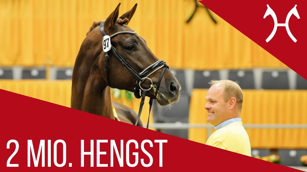 2,01 Millionen Hengst Preisspitze | Vivaldi x Dancier | Hannoveraner Hengstmarkt | 2018