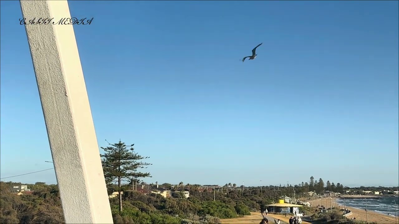 Random shots  from St Kilda beach I hope you like please give a thumbs 👍 drop all your comments 👇