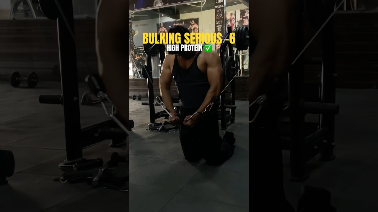 Bulking Serious 6 ✅