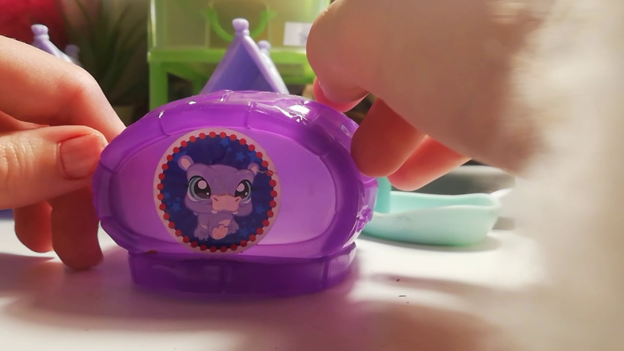 je vous montre mes objets Petshop