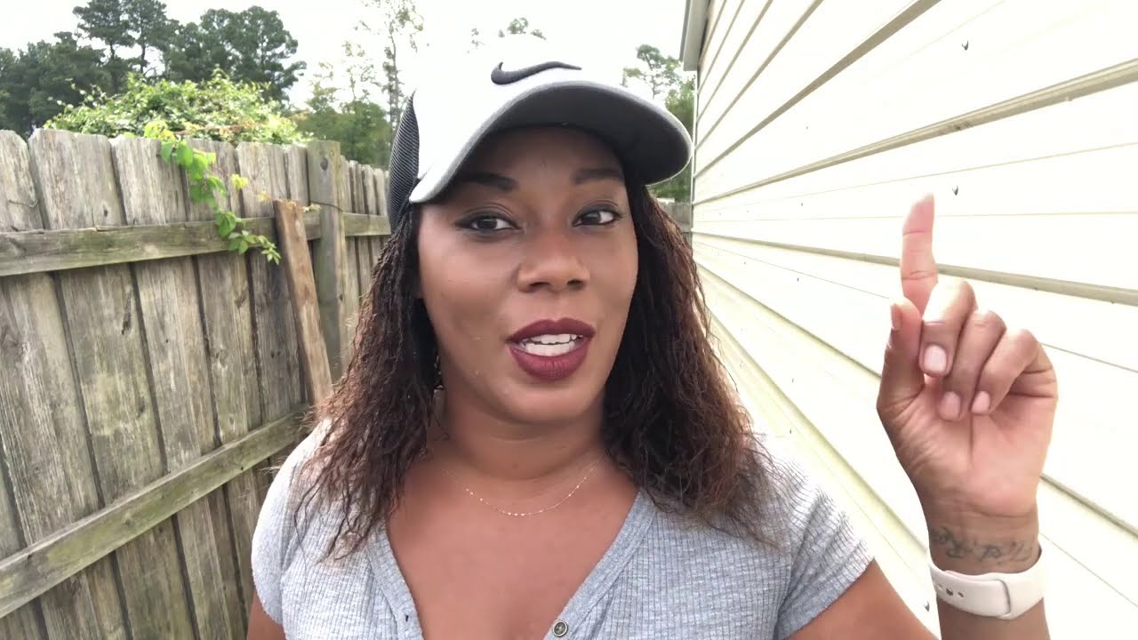 How To Build A Cheap And Affordable Trellis System  Beautee In The Garden