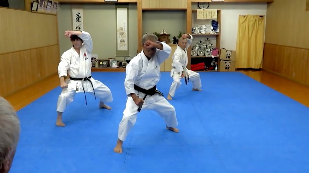 Slow rendition of Sochin Kata (Golden-Oldies Practice): IT'S NEVER TO OLD TO TRAIN!!
