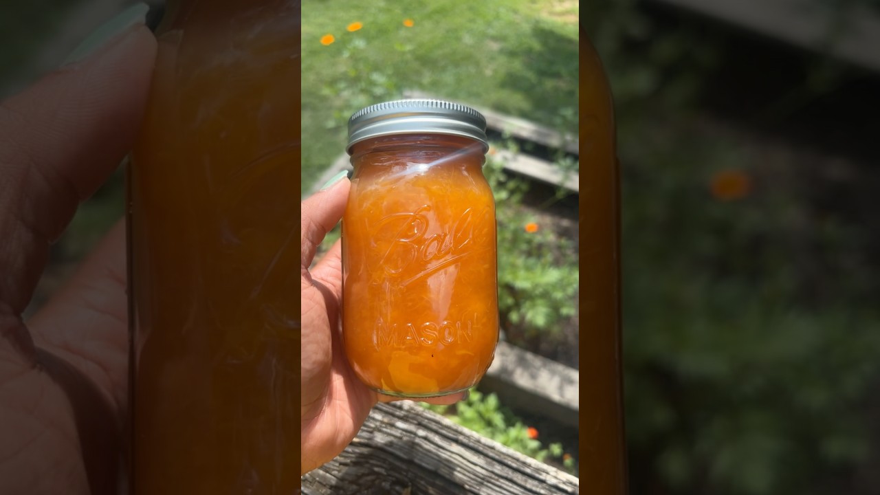 Peach Jam #homemade #recipe #peach #jam #southerncooking #canning #peaches #breakfast