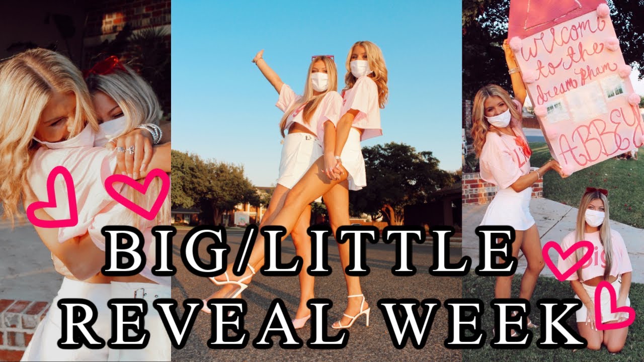 BIG/LITTLE REVEAL WEEK VLOG | Erin Alexis