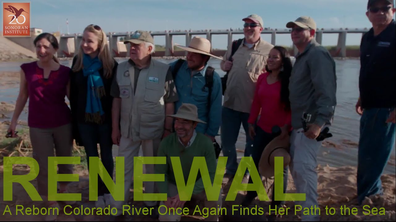 RENEWAL - A Reborn Colorado River Once Again Finds Her Path to the Sea