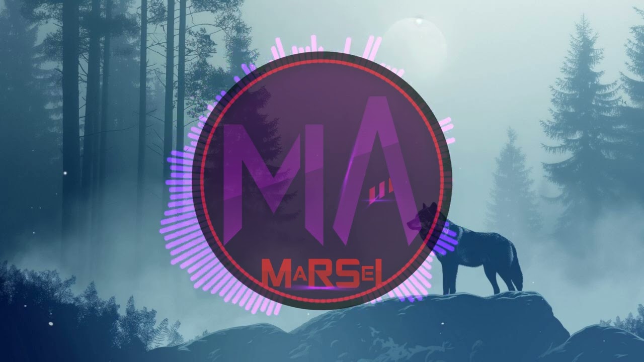 MARSEL LIVE BALKAIZATION - VUK SAMOTNJAK (MILE KITIC)