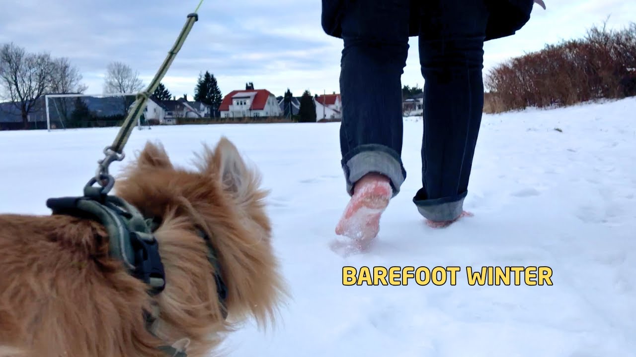 Barefoot in -7&deg;C ❄️ A short Walk With My Dog