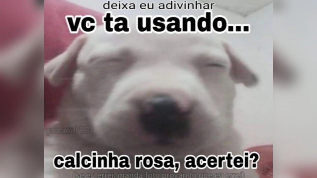 Memes e Shitposts T3 Ep130