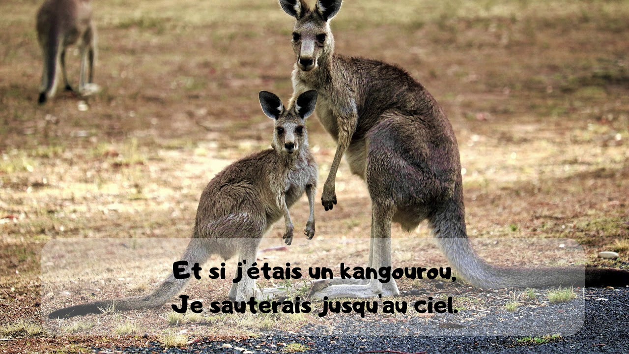 Brian Howard - Si j'étais un papillon - JEMK 132