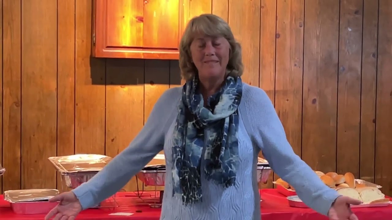 13th House District: Donna Meier, Republican candidate, gives campaign post-mortem