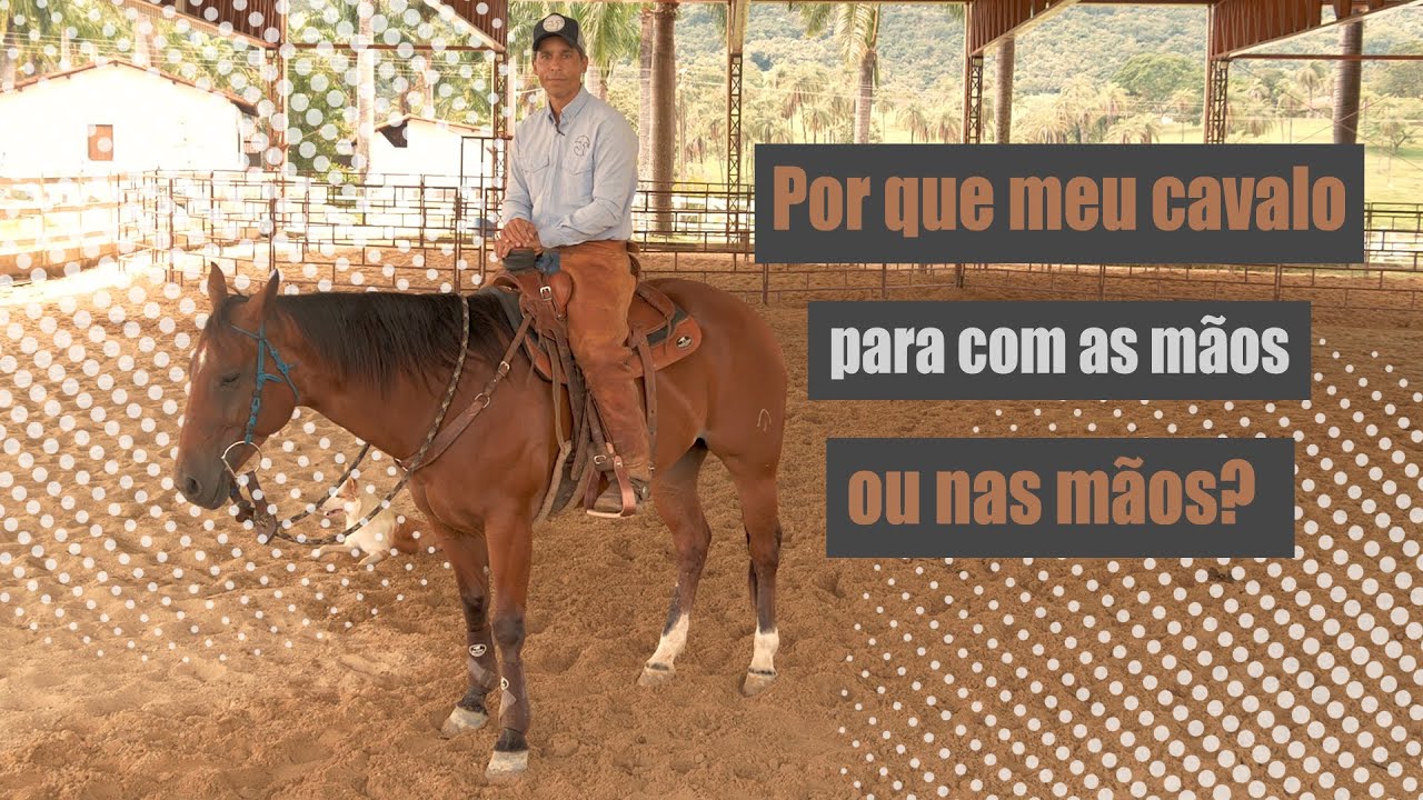 Quando você faz força nas rédeas, induz seu cavalo a pesar o conjunto de frente