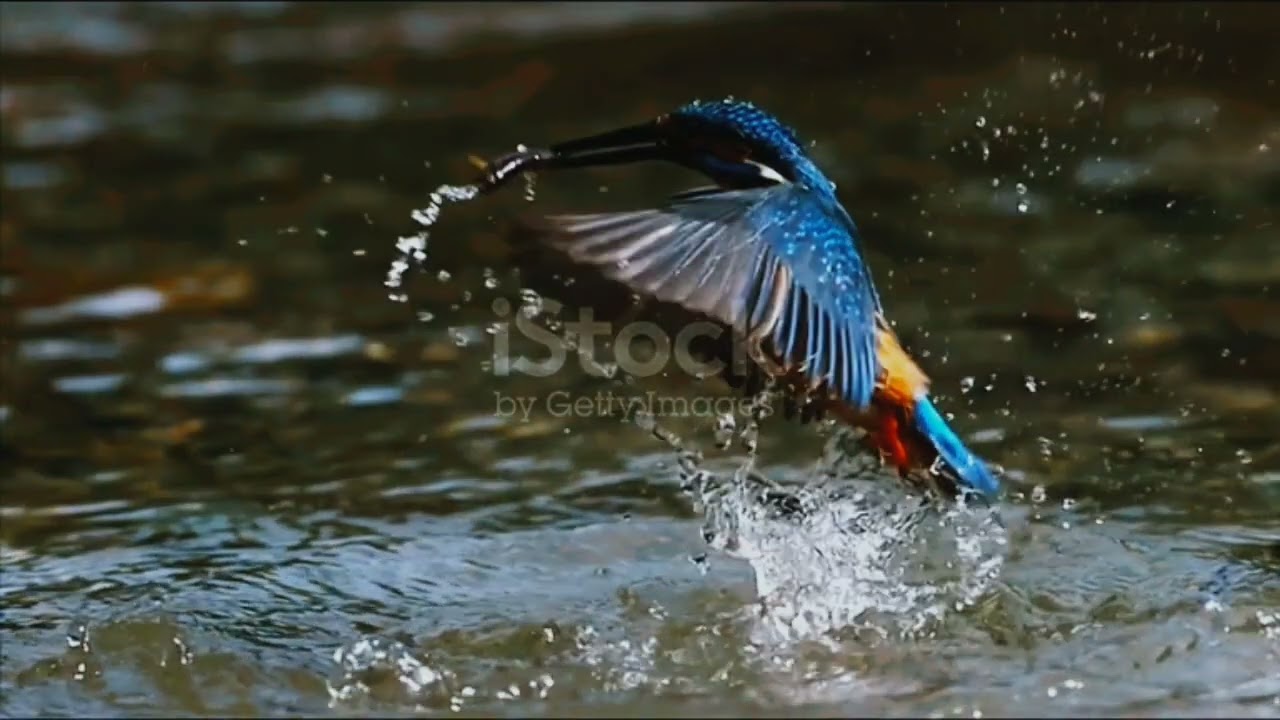 Sabar Hadees Sharif ❤️| Sabr Ki Taqat | Islami Donya official77