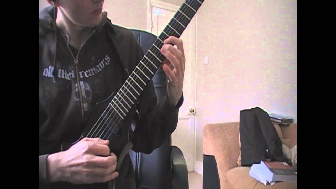 Terracide- MirrorBorn (Guitar Cover)