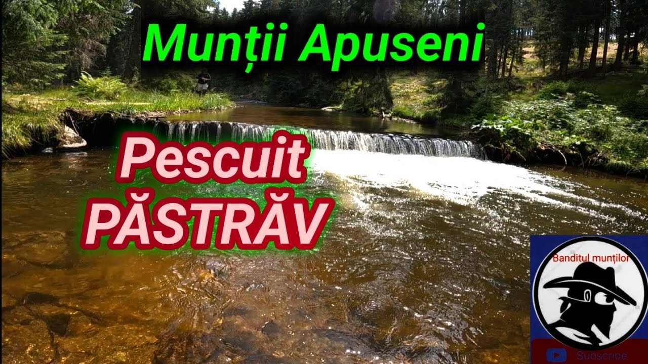 Am PESCUIT la PĂSTRĂV într-o zonă frumoasă din Munții Apuseni! trout fishing!