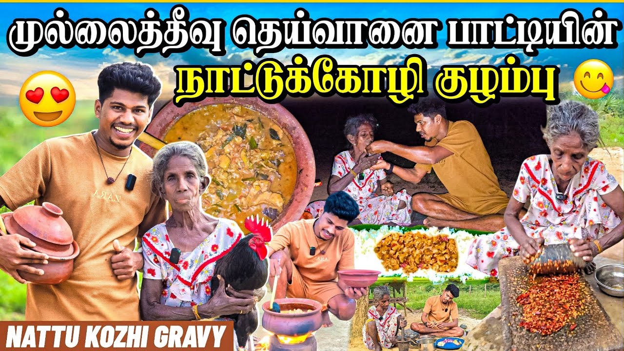 முல்லைத்தீவு காட்டுக்குள் நாட்டுக்கோழி குழம்பு | தெய்வானைப் பாட்டியின் சமையல் | Rj with Kj
