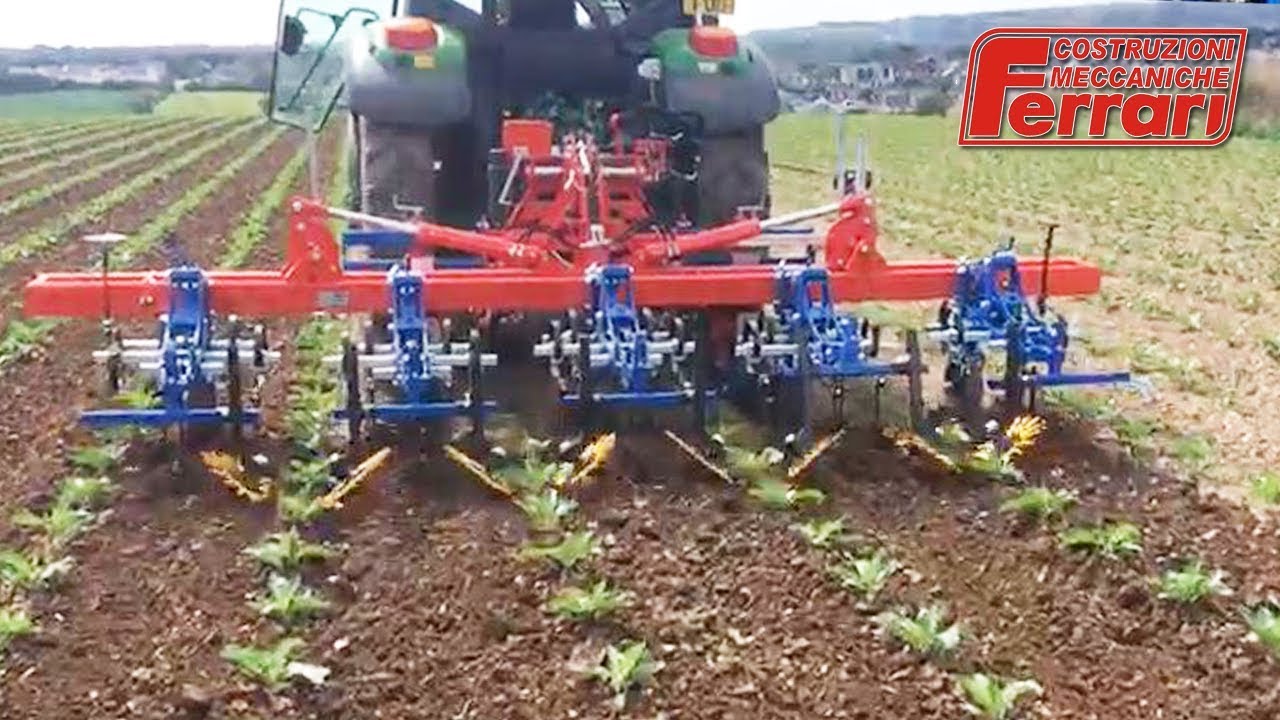 Inter-row Weeder - Ferrari Remolite