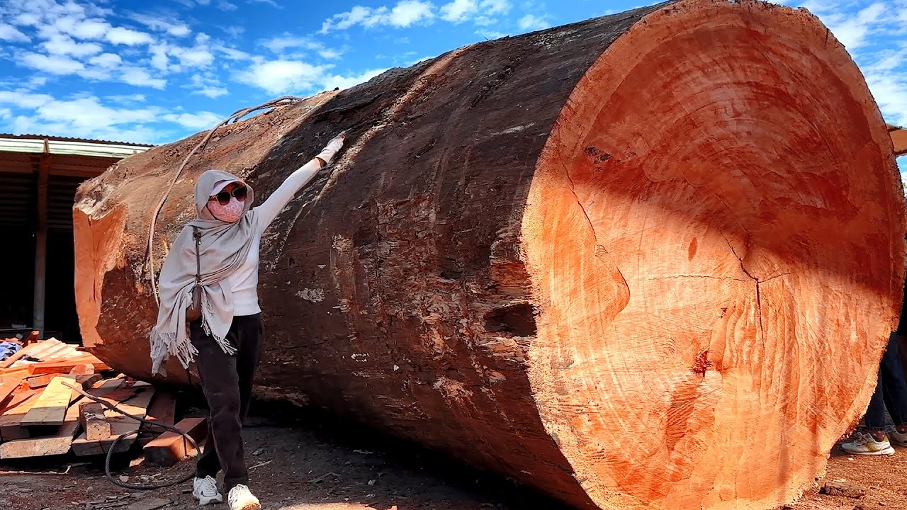 Wood Cutting Skills// Giant Monsters You've Never Seen Before