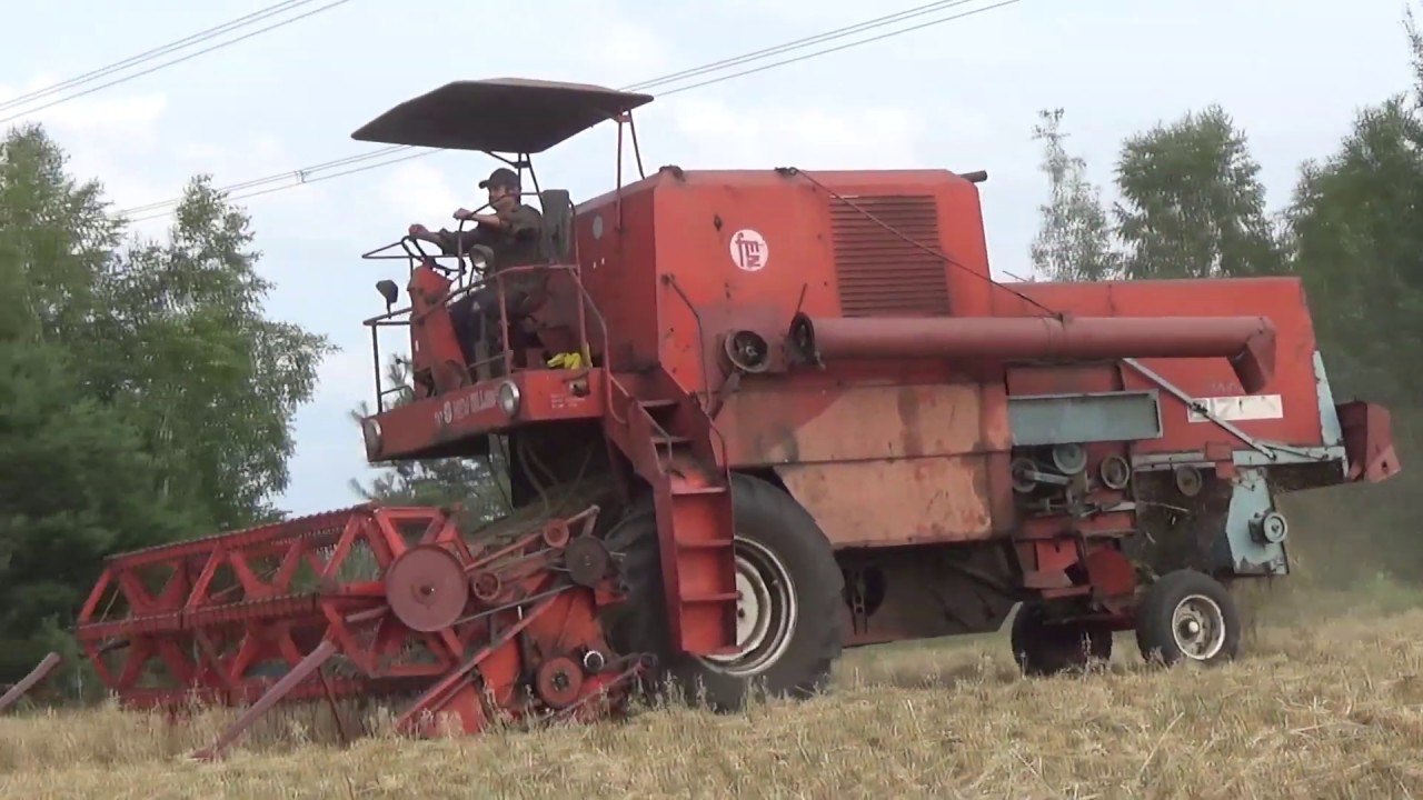 Żniwa 2019 z BIZONEM - Owies pod kose ✔ BIZON ZO56☆ AgroRol