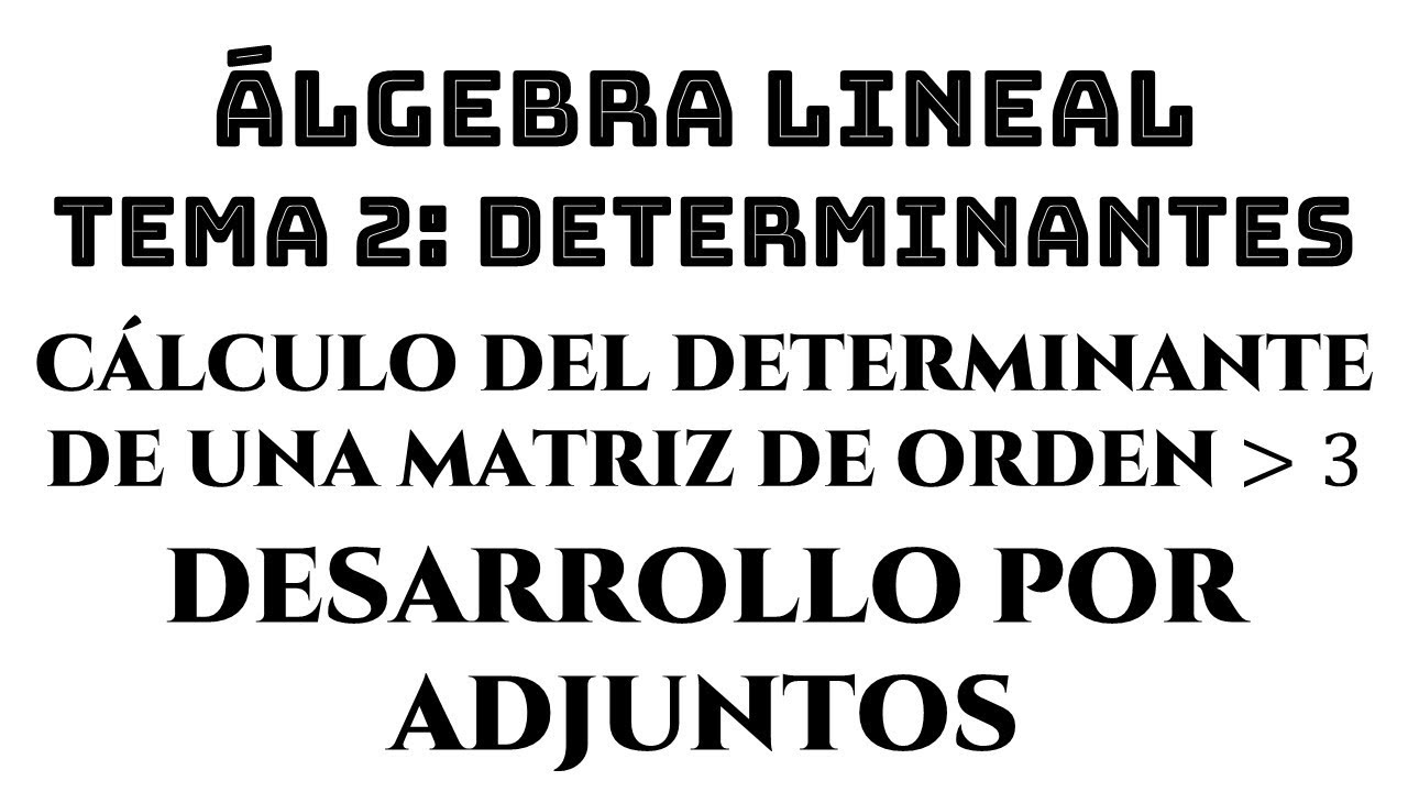ejemplo 05 determinantes de matrices de orden superior desarrollo por adjuntos