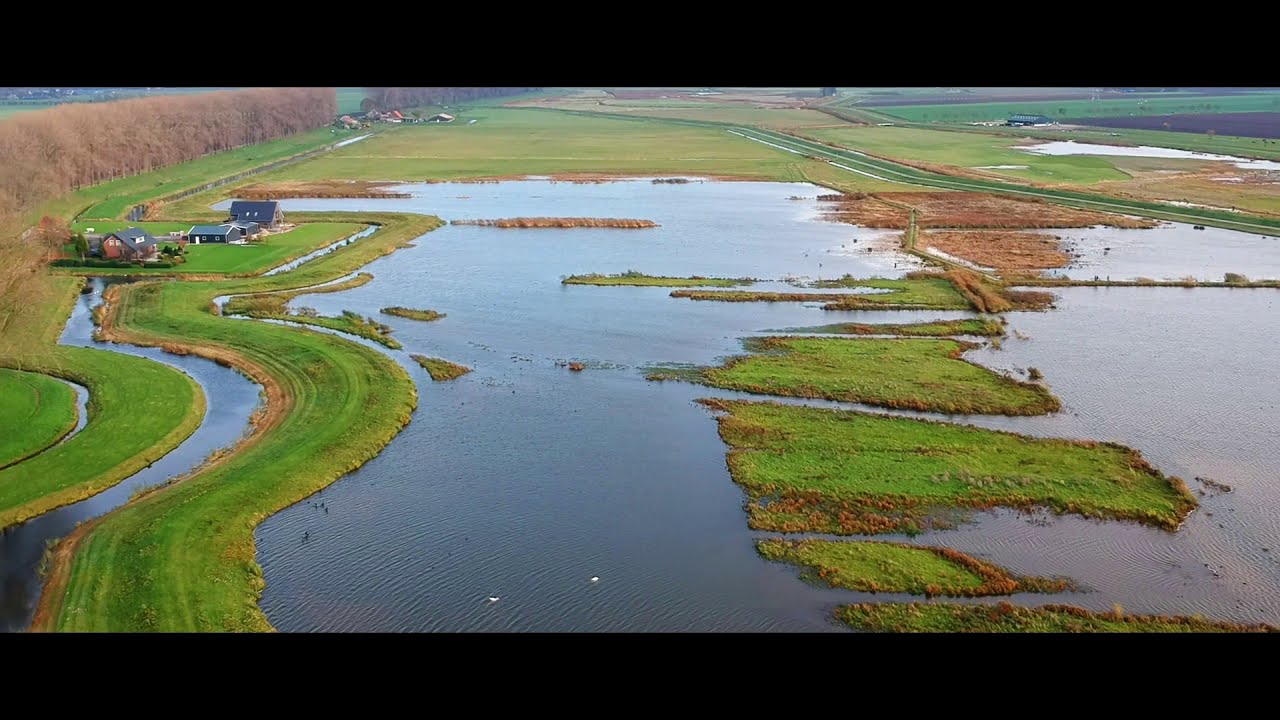 Dutch Landscapes 6; Dordtsche Biesbosch (DJI Spark Footage)