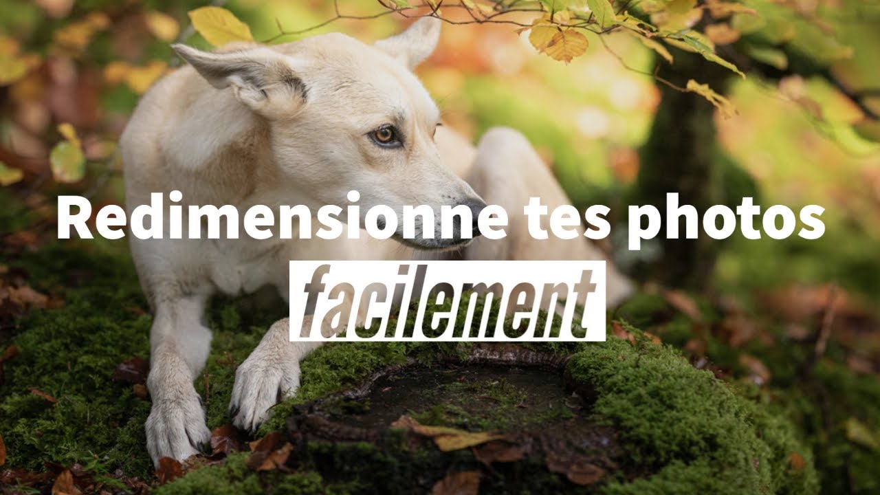 Comment redimensionner tes photos ?