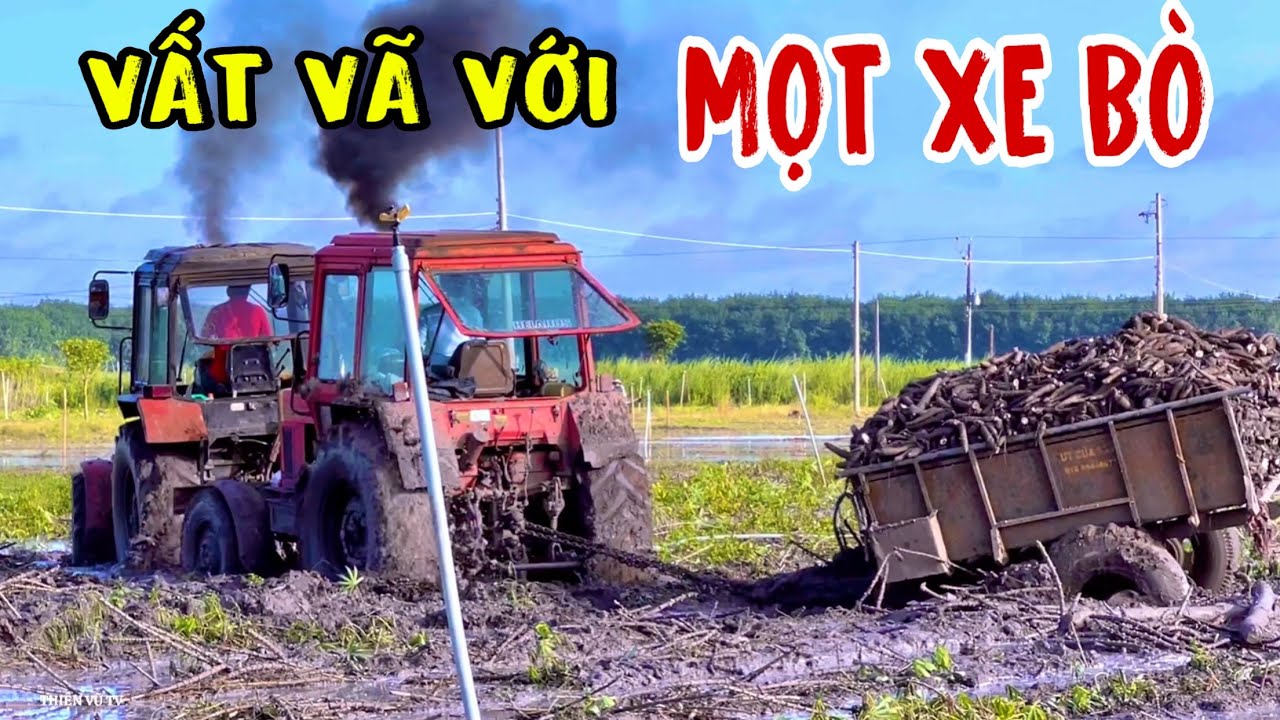 Tuy Mọt Nhỏ Nhưng Chịu Lún Là Anh Em Cũng Lên Bờ Xuống Ruộng Luôn Đó Nha, Thiện Vũ TV
