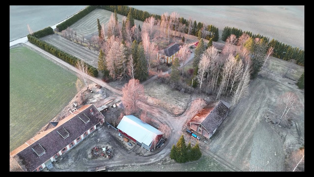 DJI Flip (My first flight)