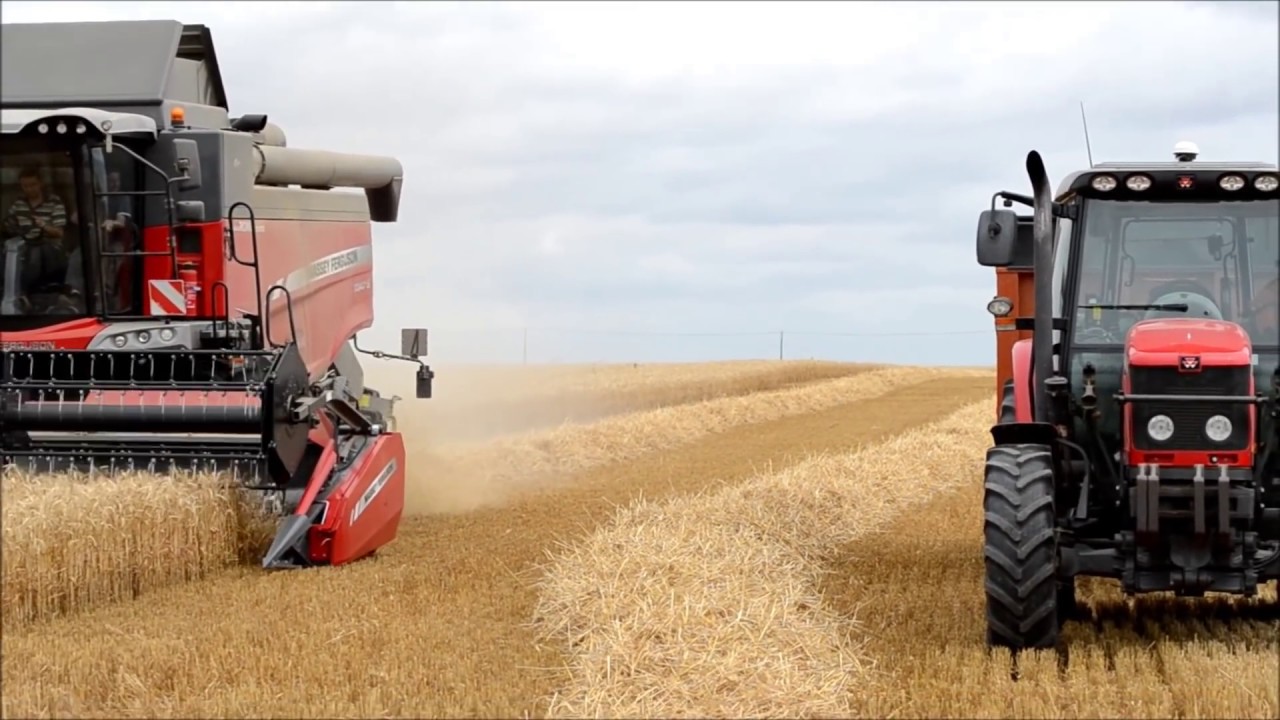 Moisson, 100% Massey Ferguson