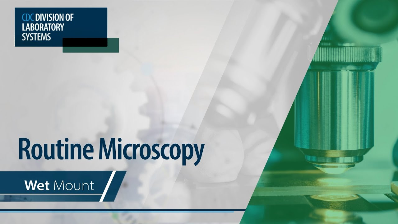 Рутинная микроскопия – Влажный препарат