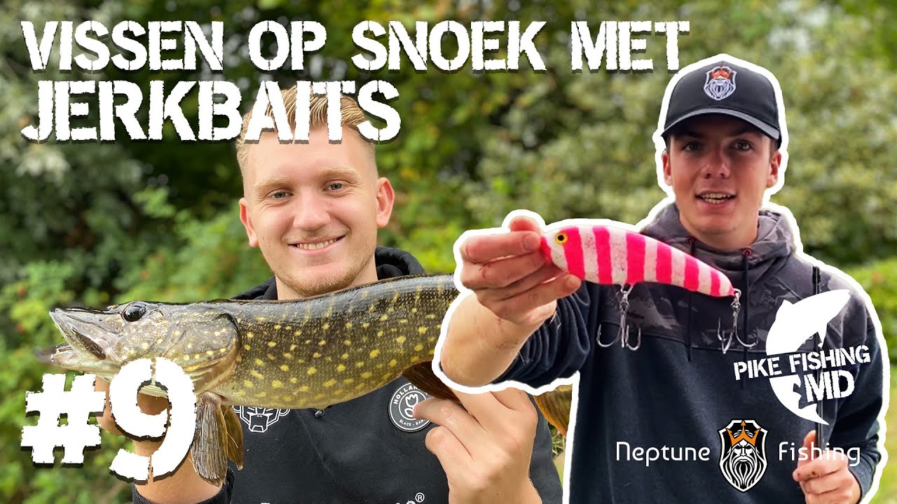 VISSEN OP SNOEK MET JERKBAITS