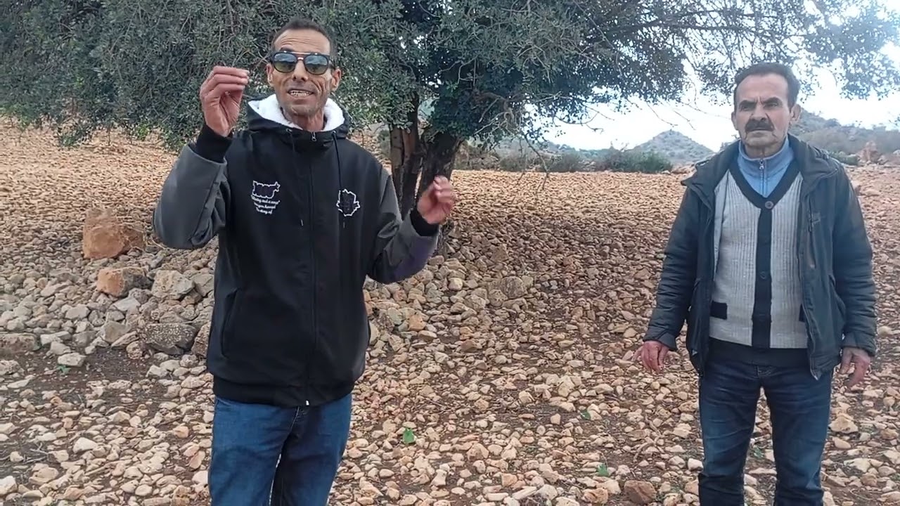 12/1/2025 قطعه ارضيه ملكيه عدليه مساحتها 2 هكتارات فيها 12 خرو ب ثمنها 17 مليون الهاتف 0666467992