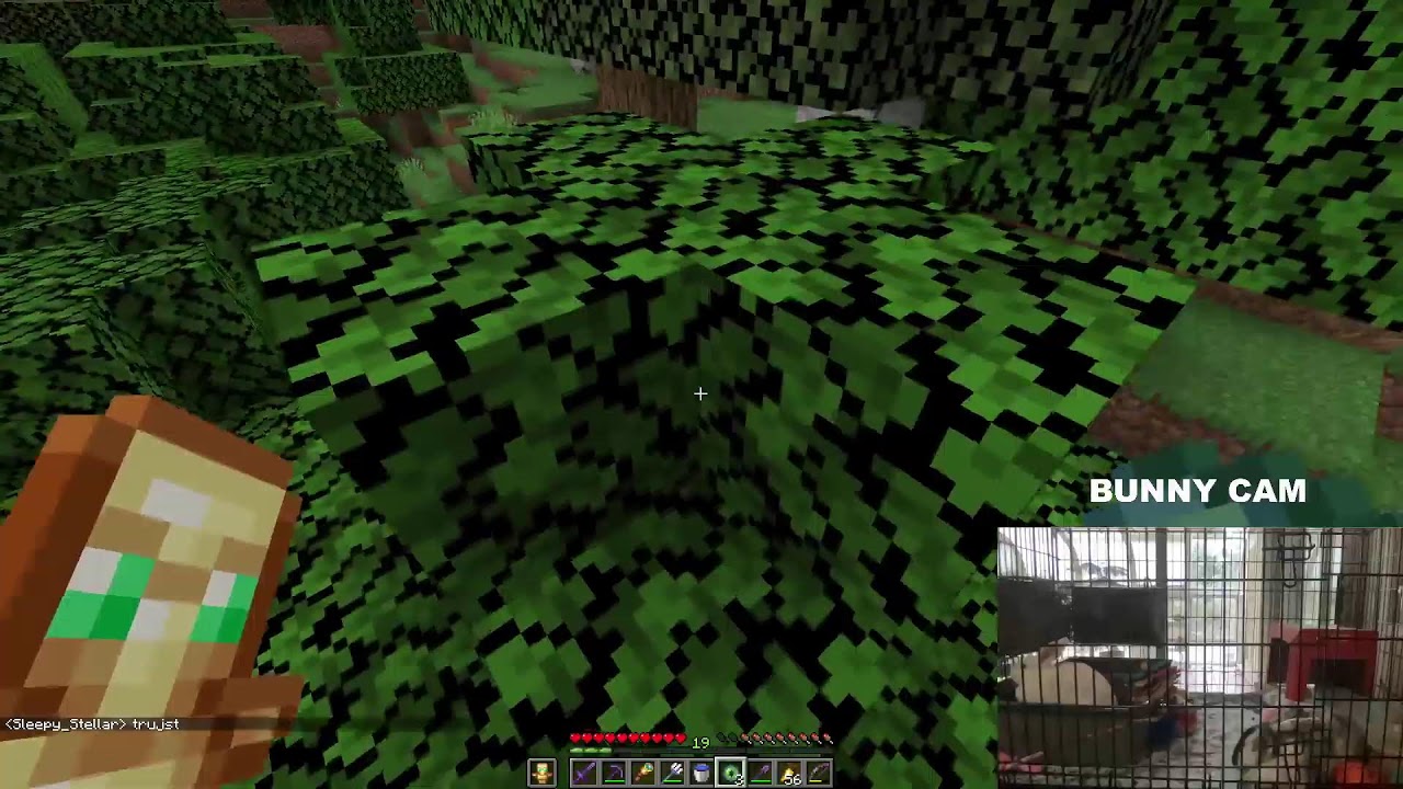 Minecraft LIVE (With Bunny Cam)