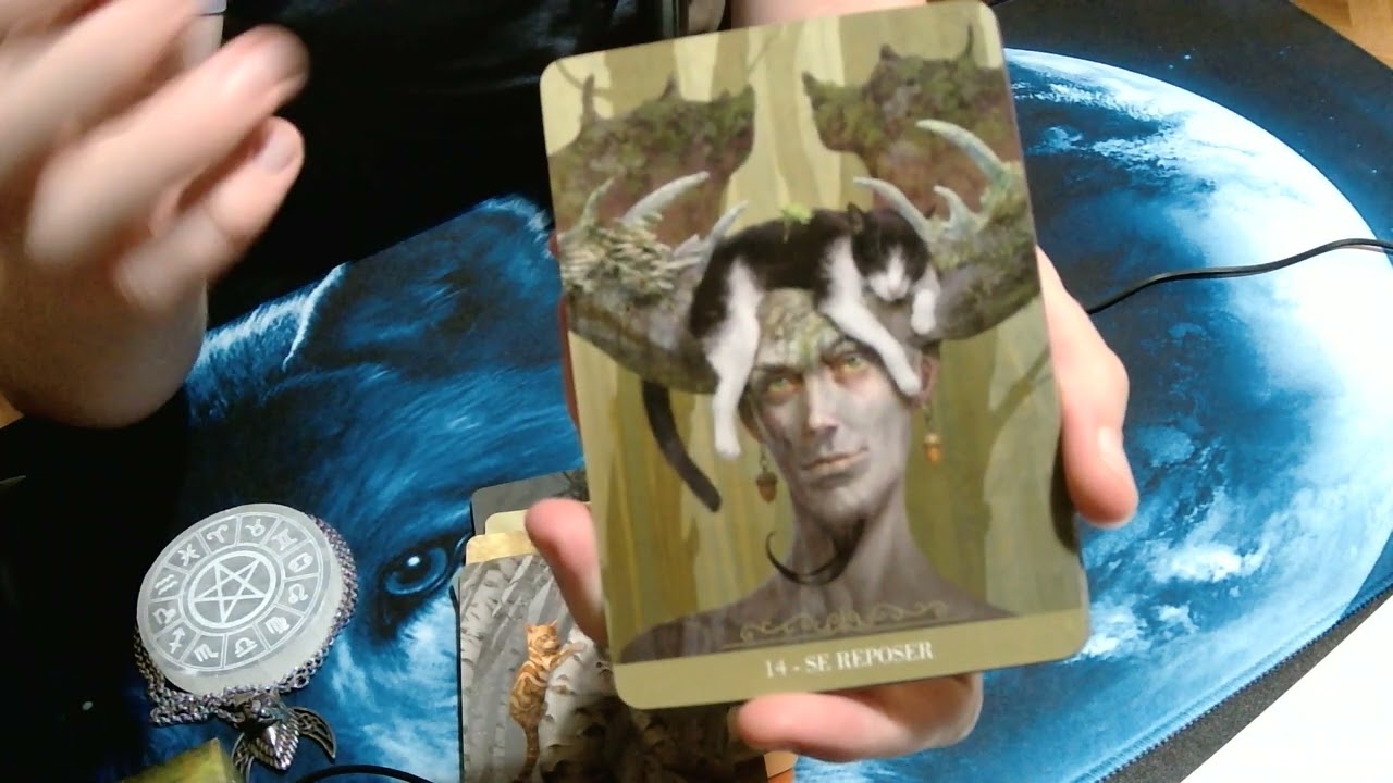 L'oracle des chats fantasy de PAOLO BARBIERI