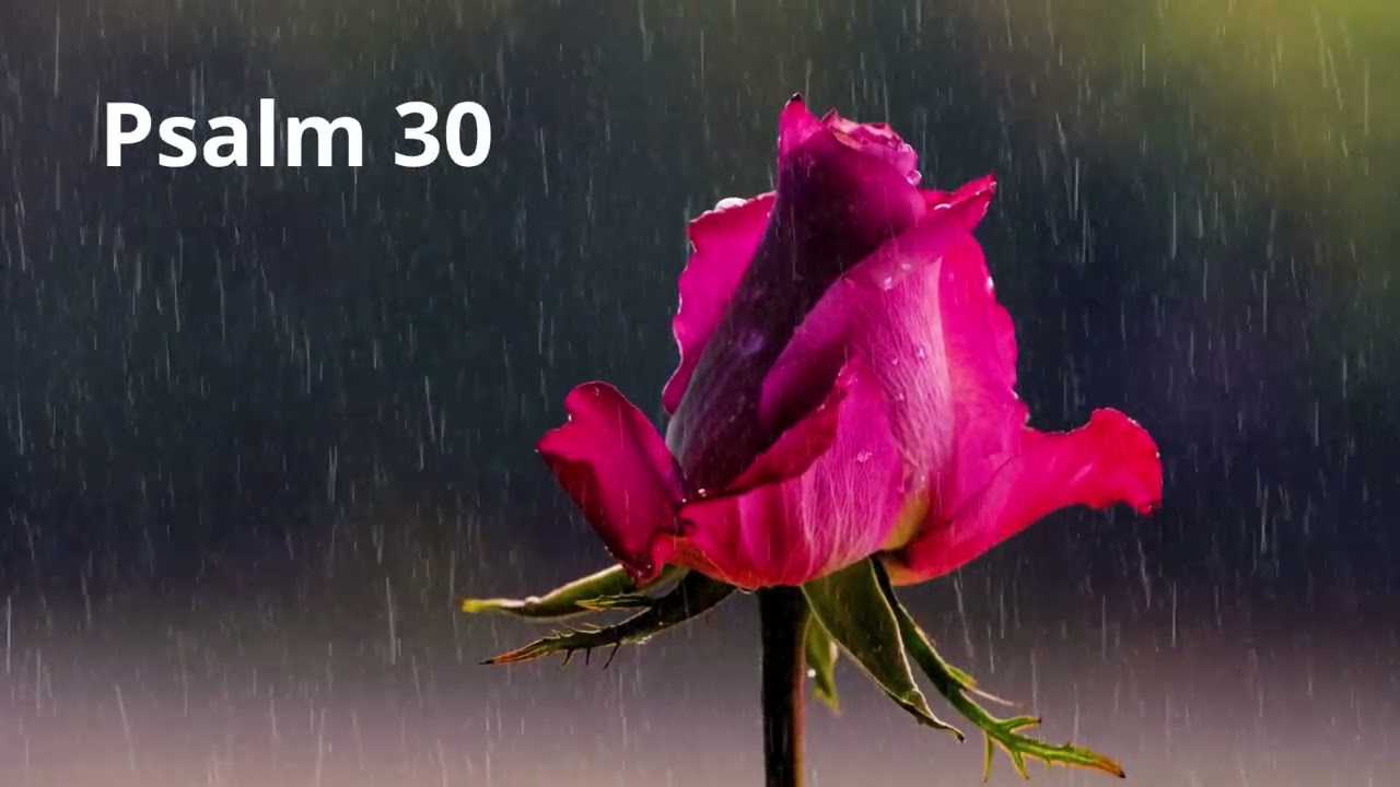 Psalm 30 (śpiewany) – Od płaczu do radości, od grobu do tańca | Biblia Warszawska