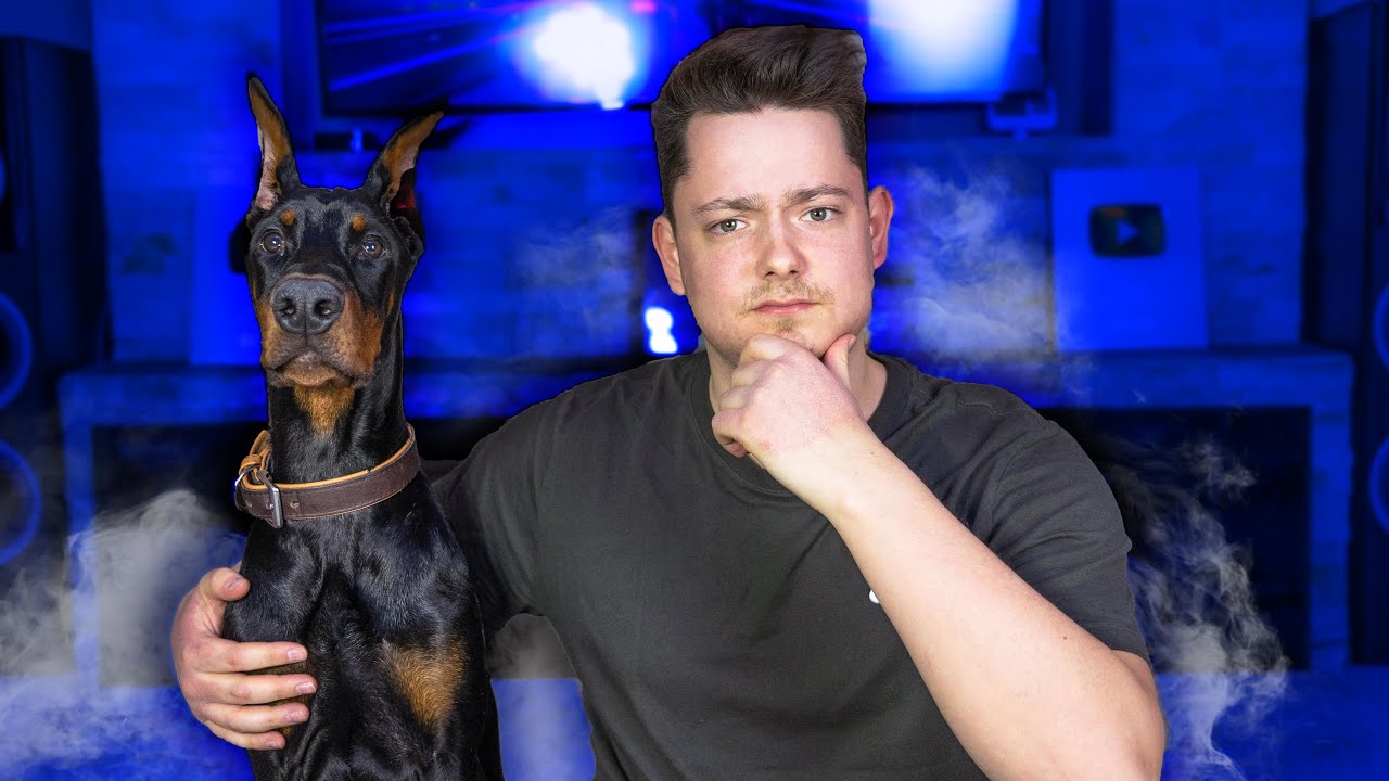 SZÉGYELD MAGAD! Vezényszó | Ollie tanul 🐶