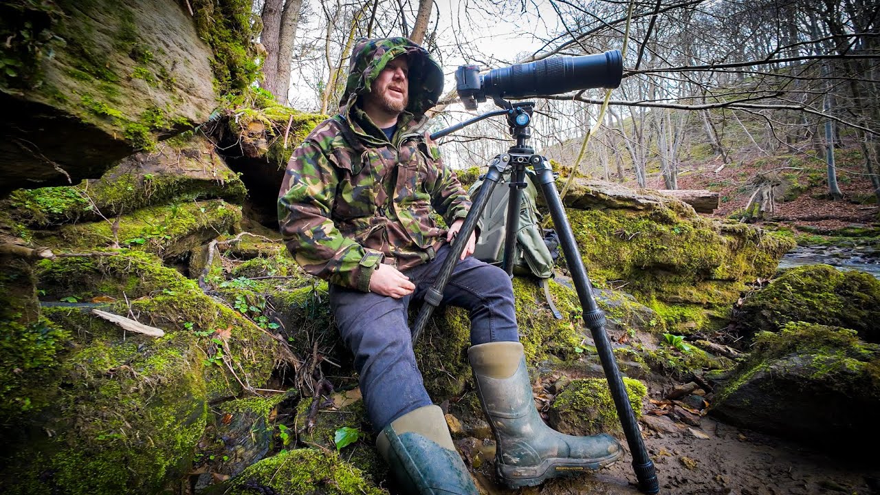 I try out wildlife photography and respond to a troll.