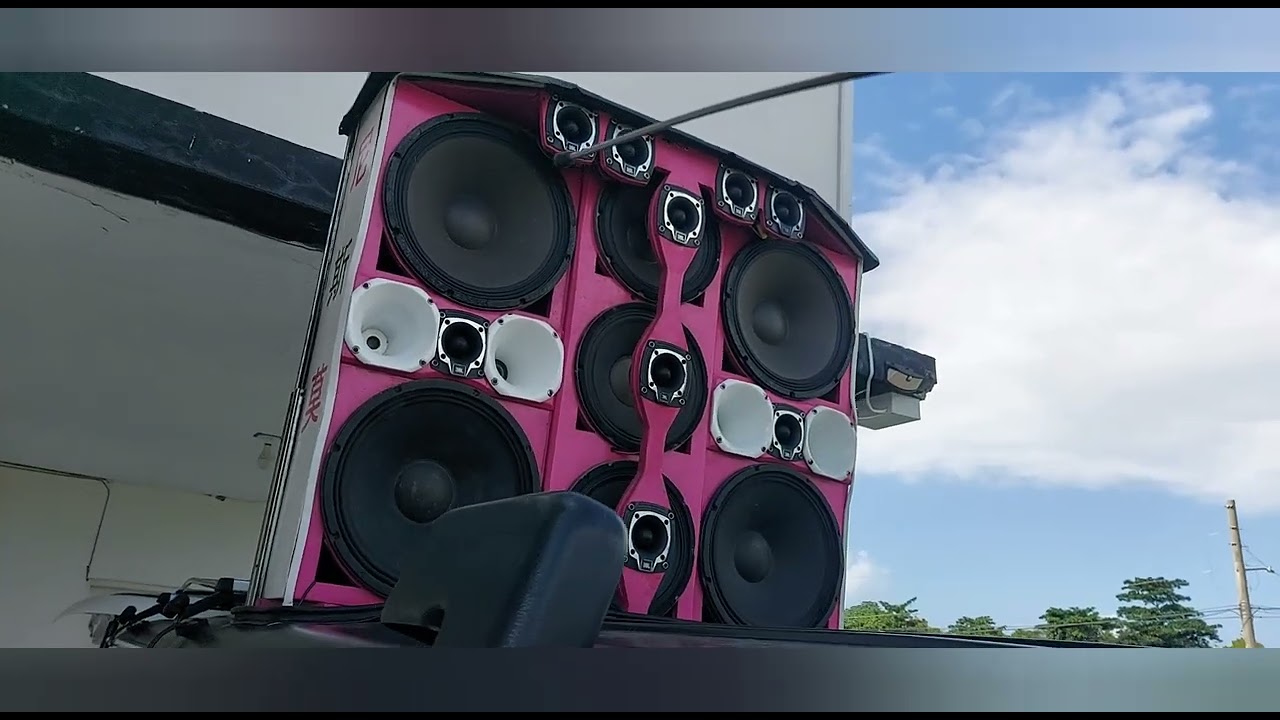 BASS DEFLECTOR made out of glass.... full update on the Nizmo bus and Nizmo health wise...